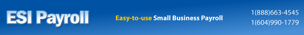 Small Business Payroll Software